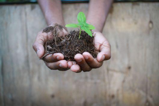 Sustainable Organic Integrated Livelihoods (SOIL) - Lush Spring Prize