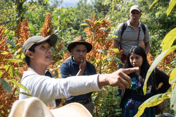 Photo: The Mesoamerican Permaculture Institute